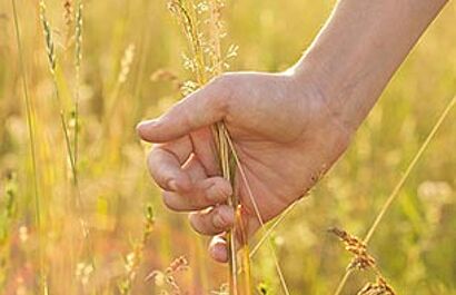 Actualizaciones de las normas, requisitos y valores límite de OEKO-TEX®