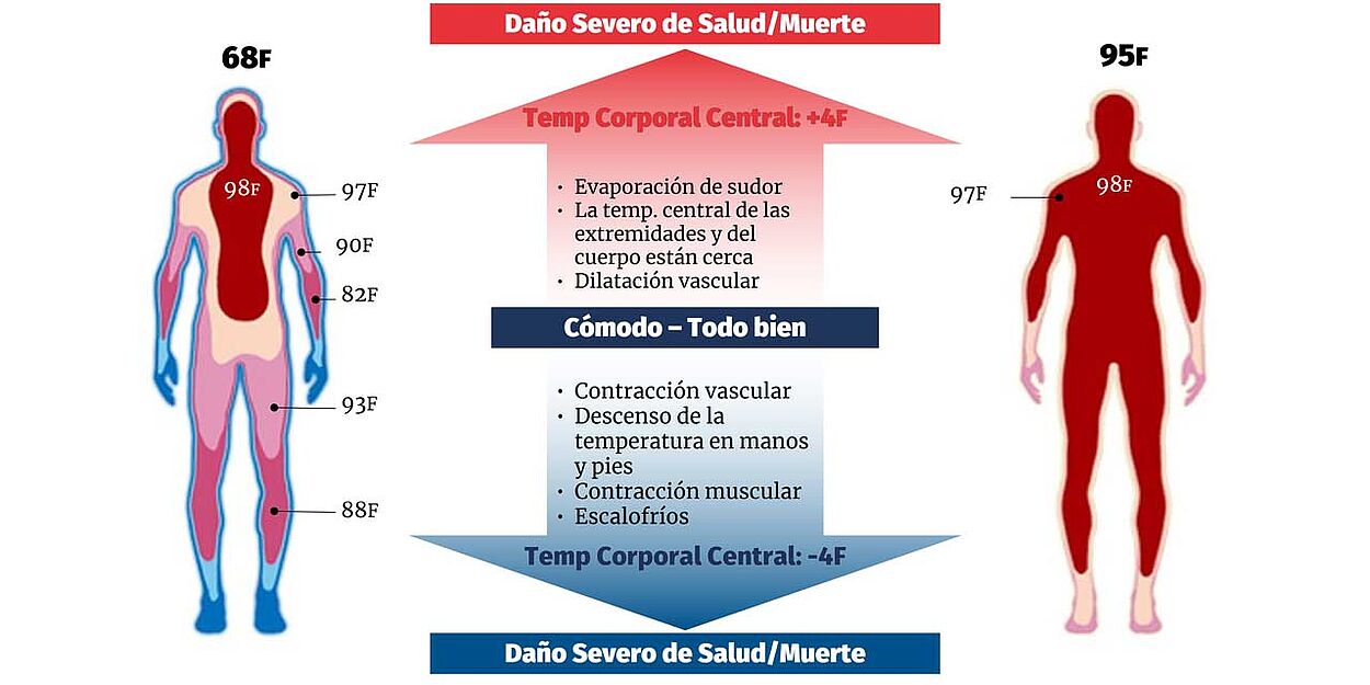 ilustración de los efectos de las variaciones de la temperatura central del cuerpo en los seres humanos