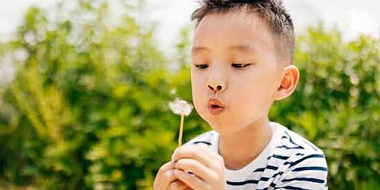 niño con camisa a rayas, afuera con diente de león