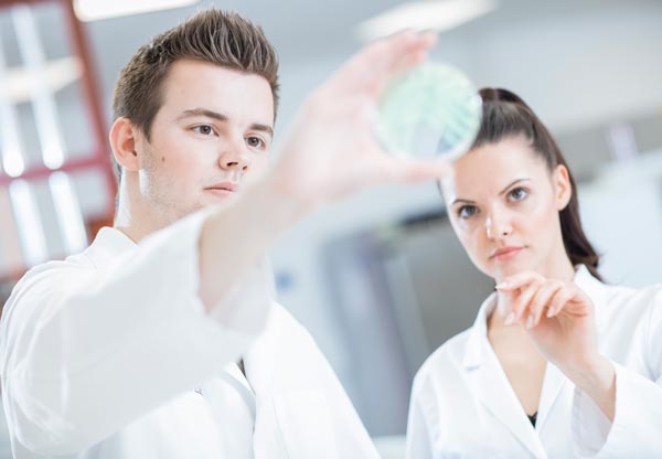 Microbiólogos textiles Dos técnicos de laboratorio viendo una placa de Petri