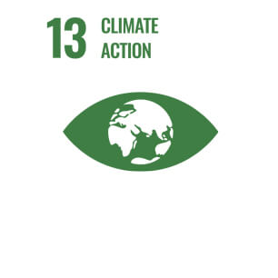 ODS Ícono 13 - "Acción climática"