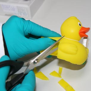 Mano enguantada, cortando muestras del patito de goma para probarlas en el laboratorio de pruebas de juguetes de Hohenstein